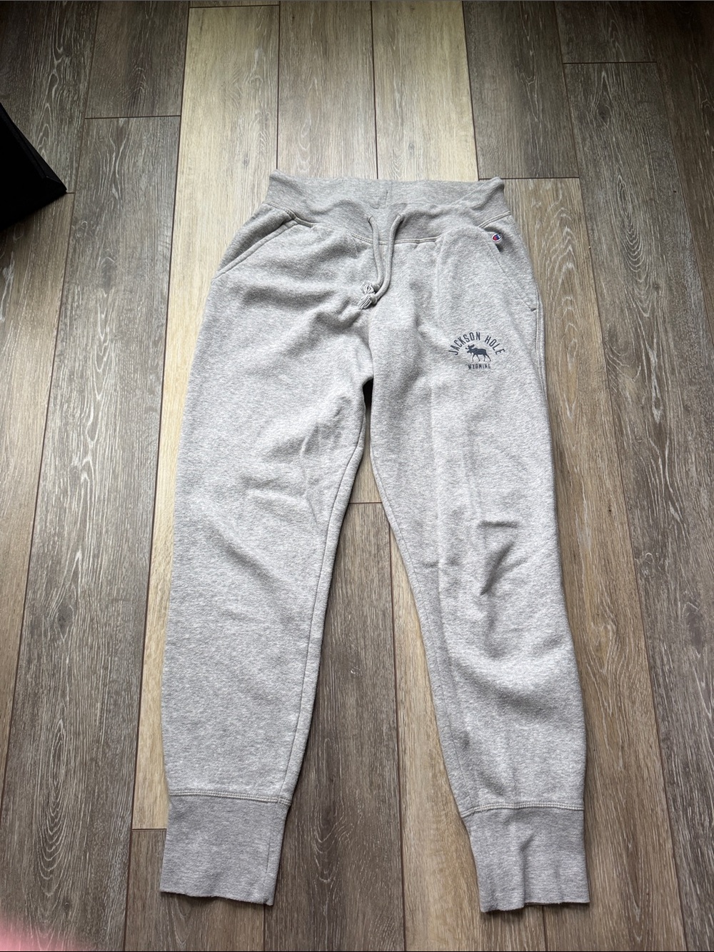 Champion Light Gray Fleece Joggers with Drawstring Waist